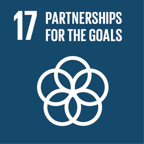 Multi-stakeholder partnerships with communities, private sector, civil society organizations, UN agencies and Governments to help realize the SDGs